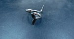 silver dolphin ring b
